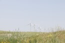 Wind turbines near Weatherford, Oklahoma.