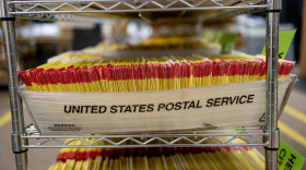 A United States Postal Service-branded tray on a metal shelf stuffed with ballots. Many more trays are partially visible on the same shelf as well as higher and lower shelves.