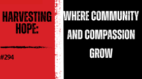 Background from left to right: red, then a vertical, thick white stripe in the middle, then black. from left to right: WN logo in the top corner, "HARVESTING HOPE: #294" in black text over the red and "WHERE COMMUNITY AND PASSION GROW" in white text over the black