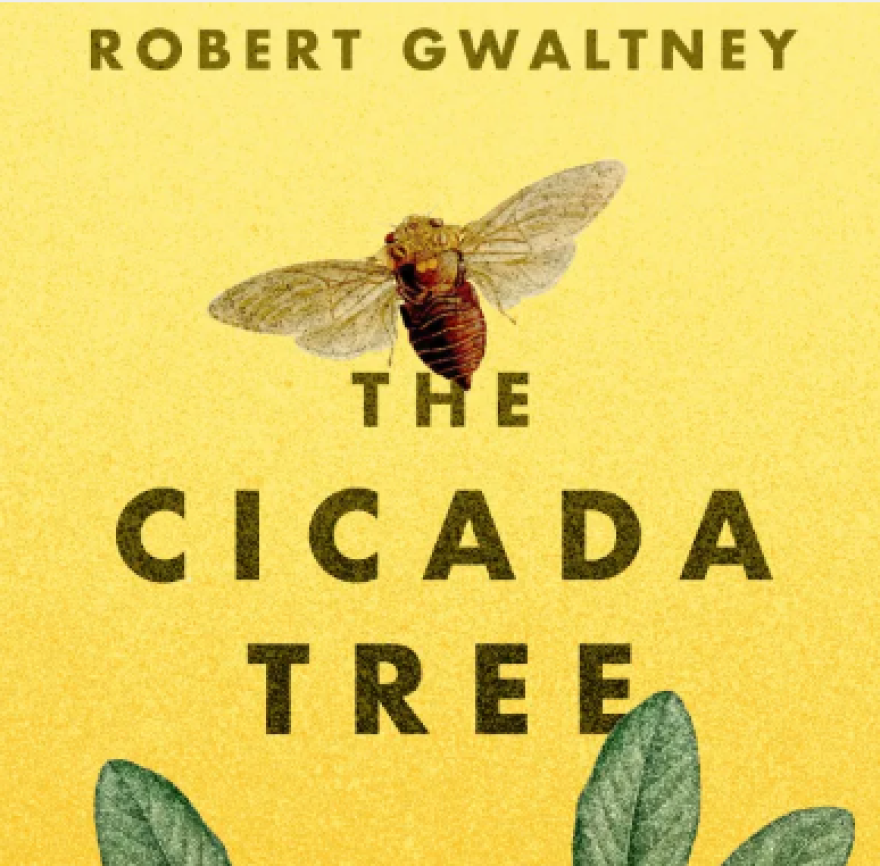 “The Cicada Tree” cover