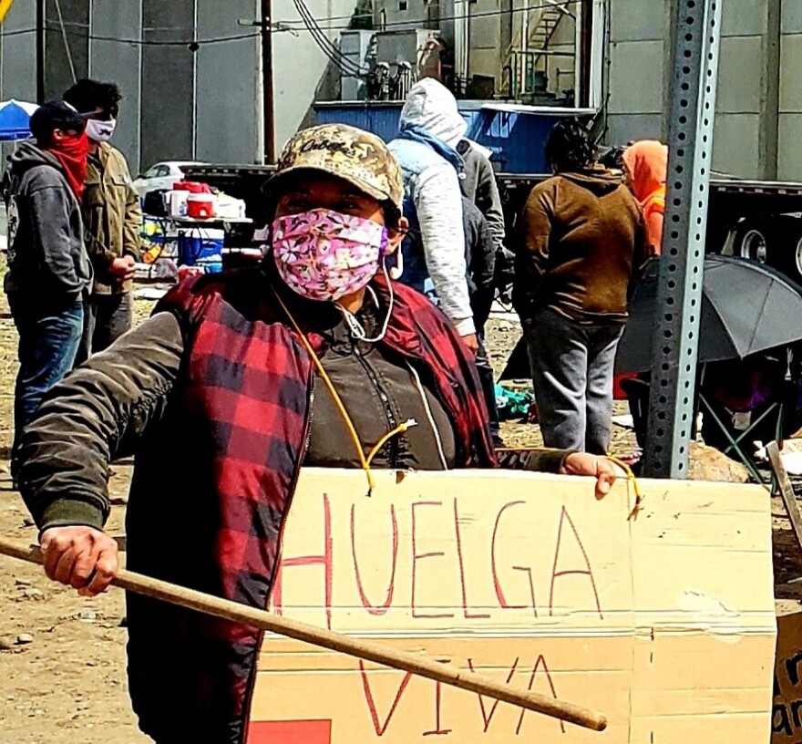 Washington farmworker on strike