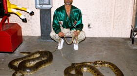 Shabazz Palaces' new record, <em>Lese Majesty</em>, comes out July 29.