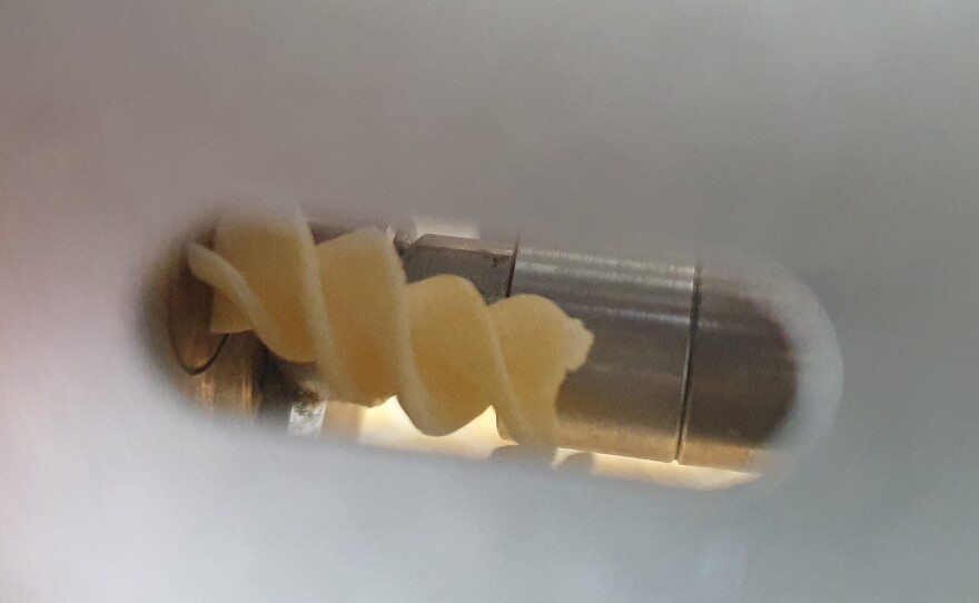 Fusiili coming out of the pasta machine, shaped by the die.