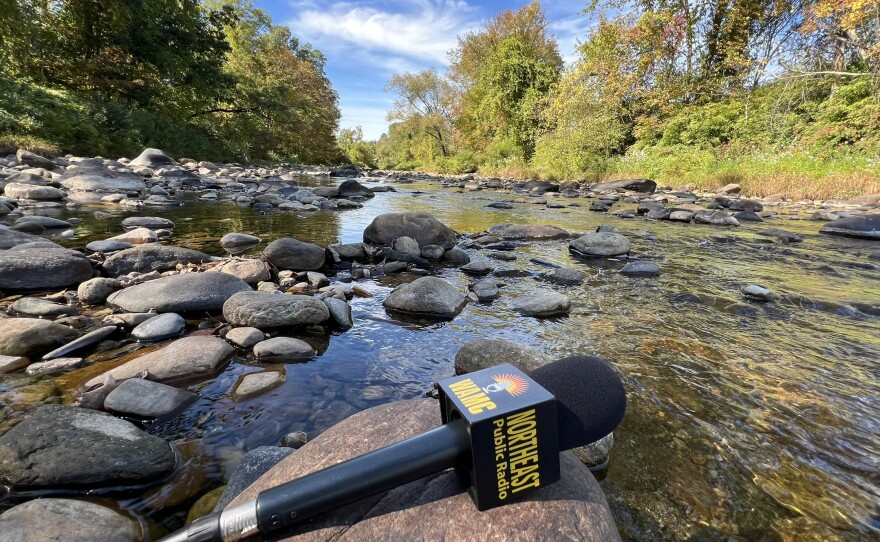 According to the National Wild and Scenic Rivers System, the multi-branch Westfield River originates from the Berkshire Hills and stretches nearly 78 miles before ultimately feeding the Connecticut River. The river's "East Branch" journeys through Cummington, later connecting with its "Middle" and "West" branches in Huntington.