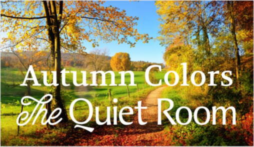 Autumn Colors at the Quiet Room | WAMC