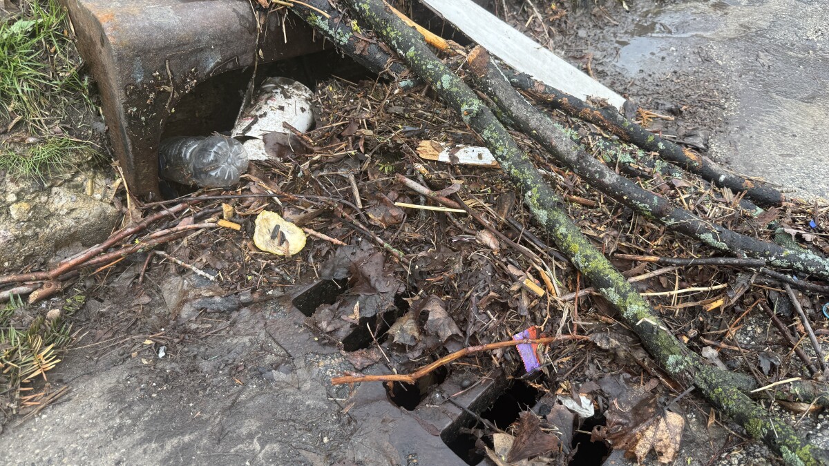 DPW shares storm response resources as alderman blames flooding on 'leaf collection catastrophe'