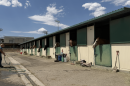 The Reno Livestock Event Center has become a large animal shelter during the Bug Fire.