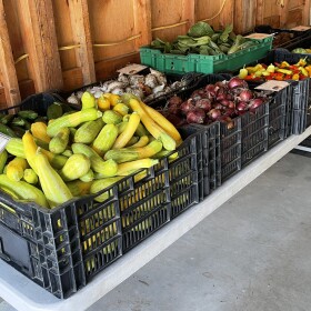 Produce from Provider Farm in Salem, Connecticut