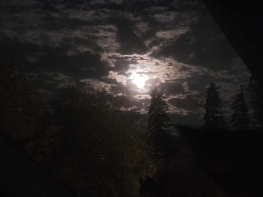 Moonlight beyond a cloudy sky with some pine treetops in the foreground