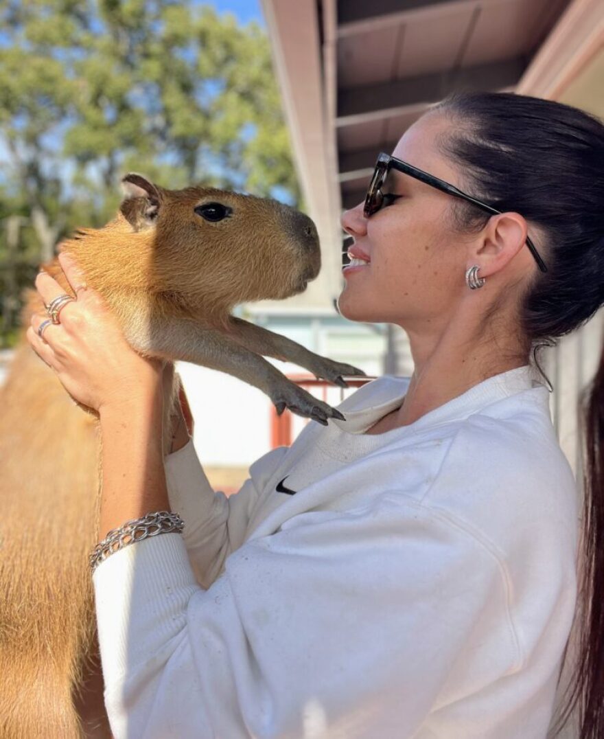 A woman in sunglasses is holding a capybara.