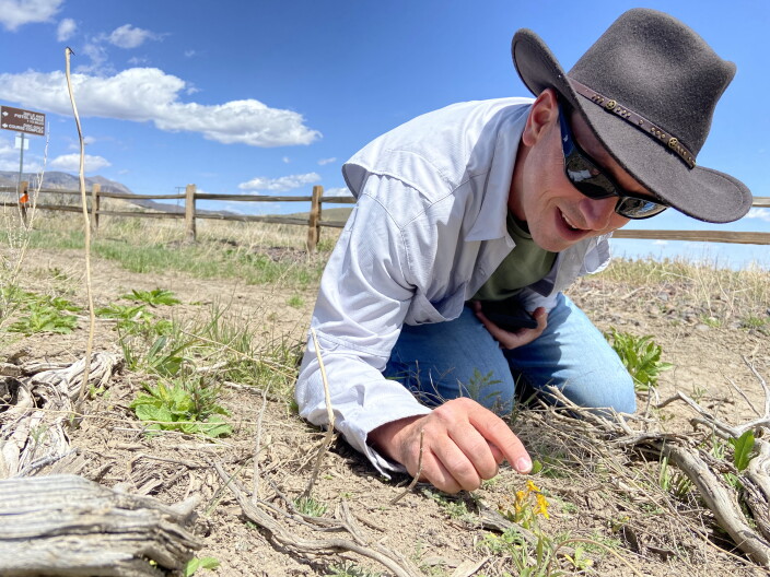 A man wearing an Indiana Jones-style hat and sunglasses is bending down to point his index finger at a small cluster of yellow wildflowers. The sky is blue with clouds.