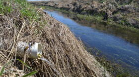 Water trickles out of a pipe into a small stream.