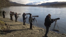 Eagle photographers along the Chilkat River. (Credit: John Hagen)
