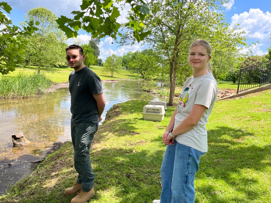 Paul Rusinko, wildlife rehabilitation manager and volunteer Brook Rogachuk captured the birds in March and released them in May.