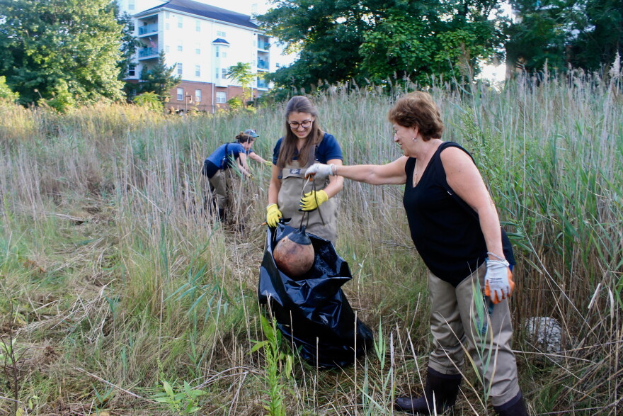 Volunteers with SoundWaters help clear trash from the marshland in Boccuzzi Park — Stamford, Conn.