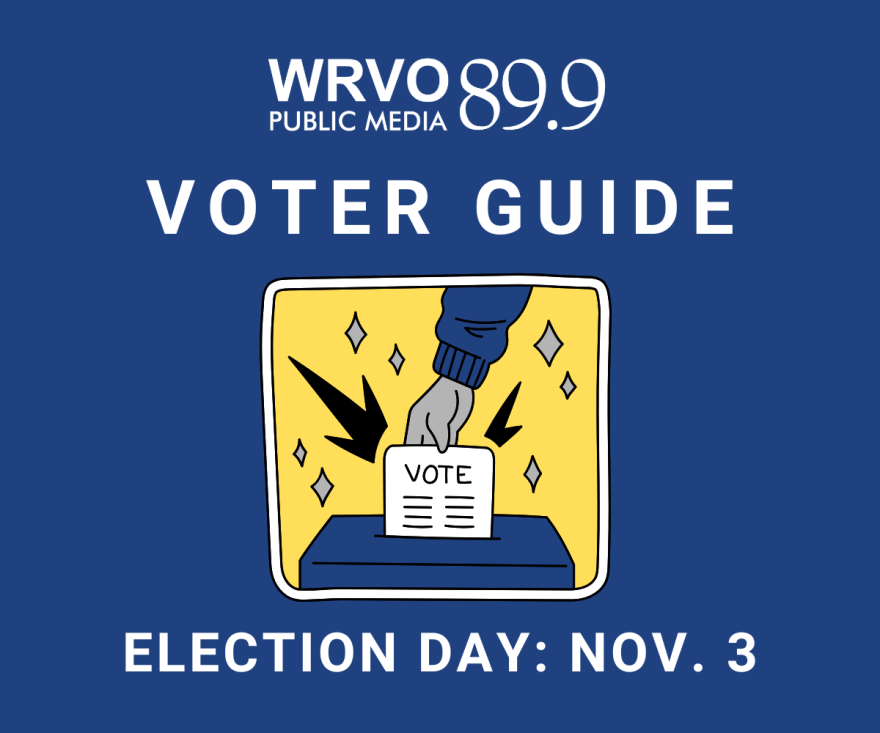 Illustration of a hand dropping a ballot marked 'Vote' into a ballot box. WRVO 2026 Voter Guide. Election Day: Nov. 3.