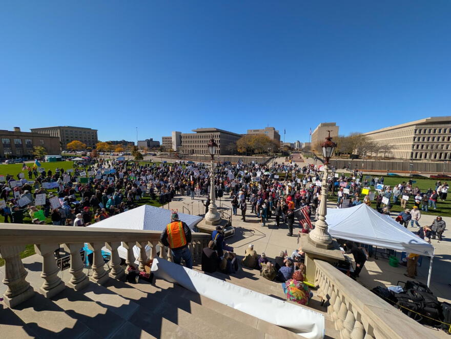 A crowd holding signs gathers outside the Michigan Capitol, viewed from the steps beneath a clear blue sky.