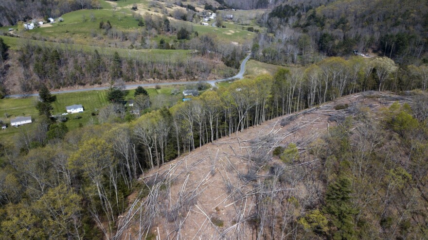 Downed trees sit atop a ridge near homes along the route of the Mountain Valley Pipeline in Lindside, West Virginia, in 2018. An extension of the natural gas pipeline is planned to run from Virginia into North Carolina. (AP Photo/Steve Helber)