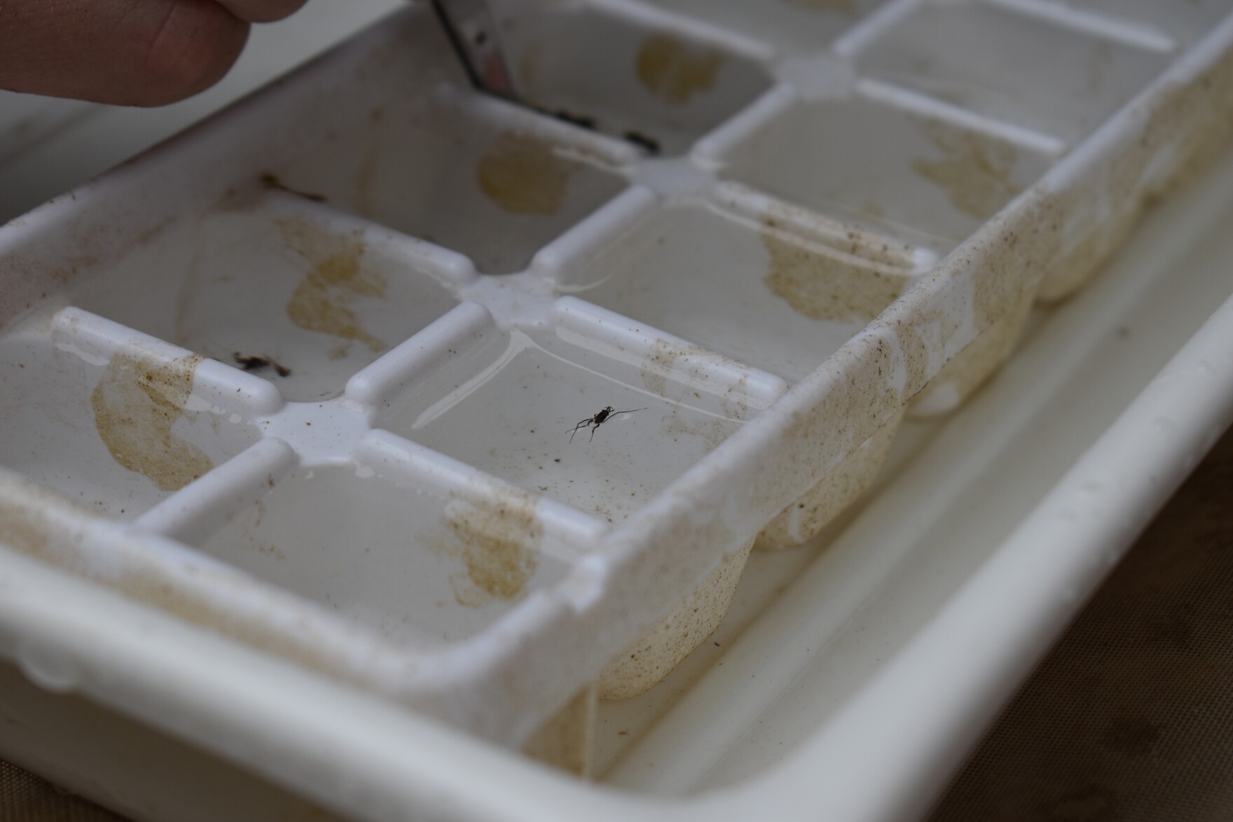 Community volunteers play crucial role in studying water quality in