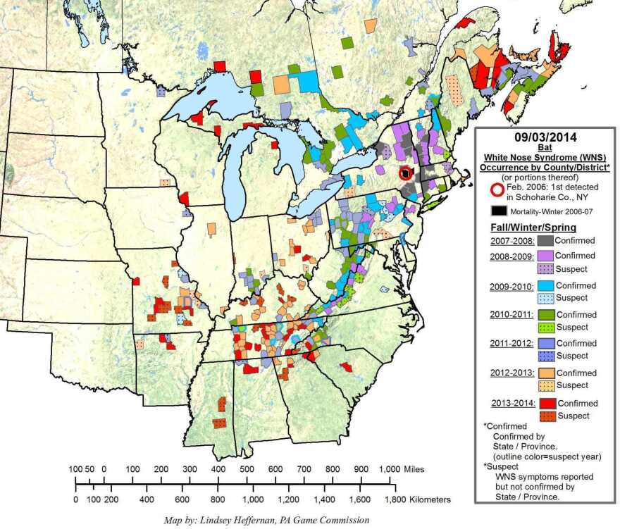 The first case of white-nose syndrome was found in Schoharie, N.Y. This map shows the cases detected since then. To enlarge, <a href="https://www.whitenosesyndrome.org/resources/map" target="_blank">click here</a>.