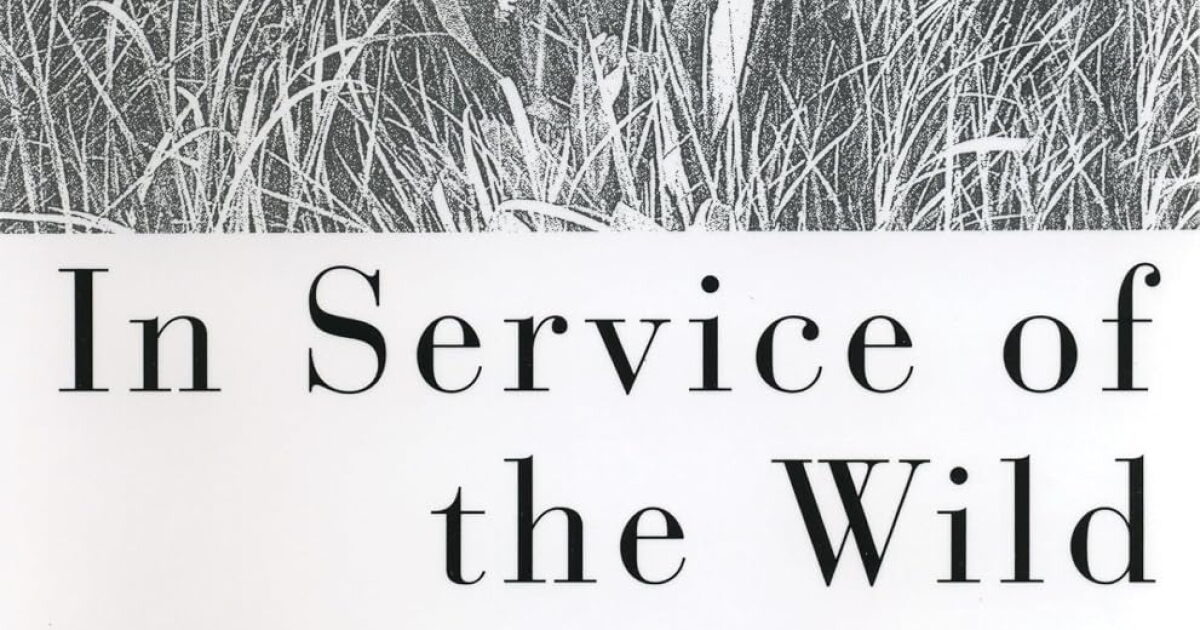Best of Book Nook: 'In Service of the Wild' by Stephanie Mills