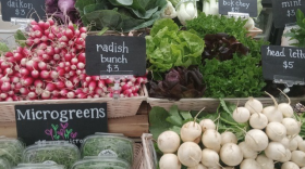 All photos courtesy of Sunchoke Farms; all rights reserved.