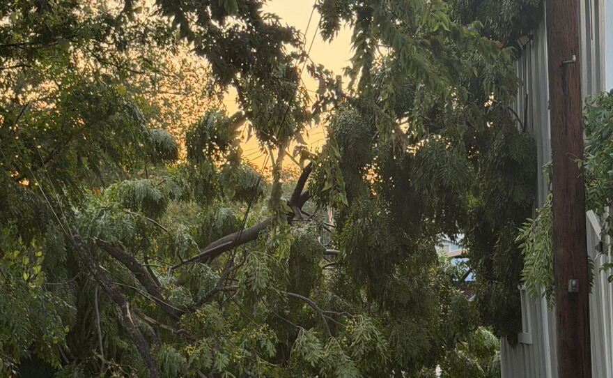 A summer storm on the evening of Aug. 28, 2026, caused power outages and downed trees.