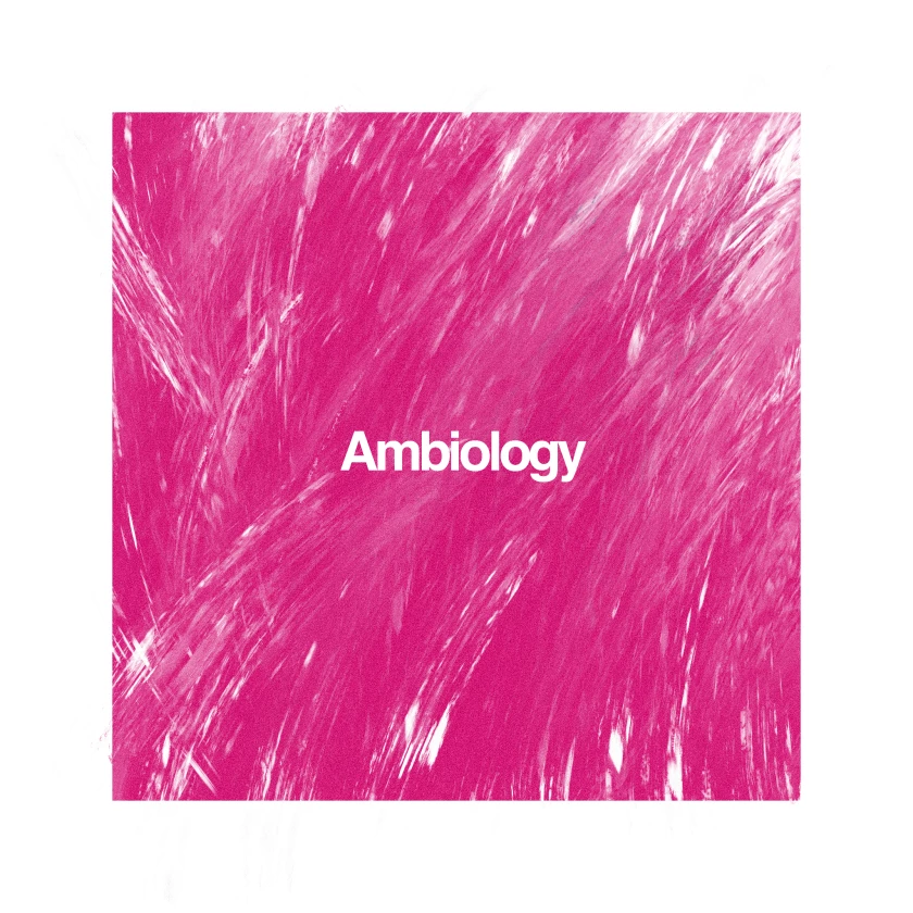Ambiology 50