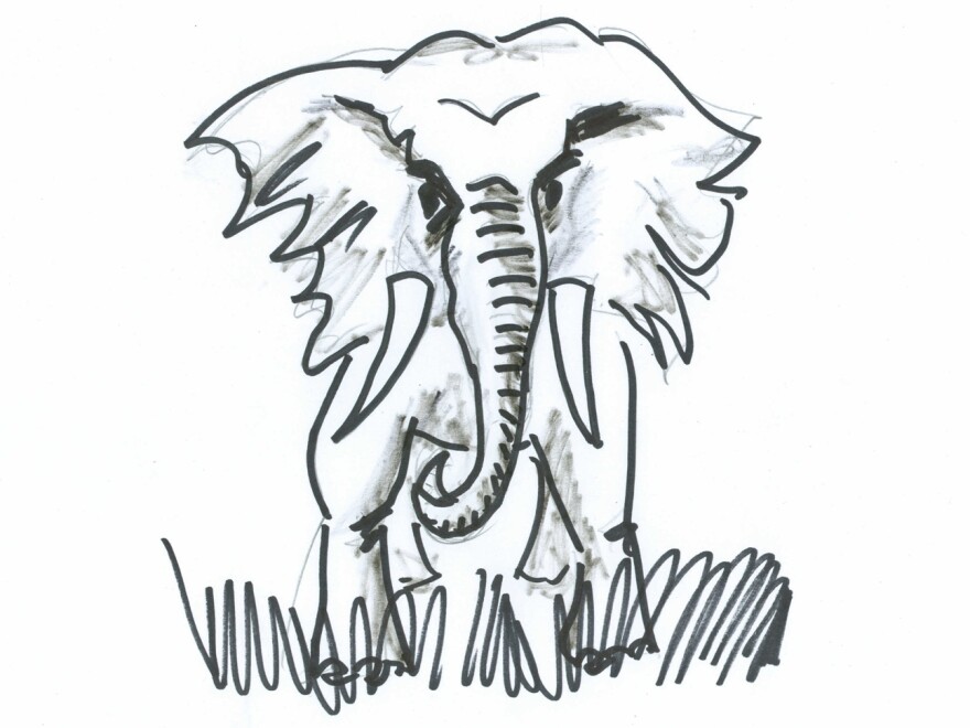 Angry bull elephant, ready to charge.