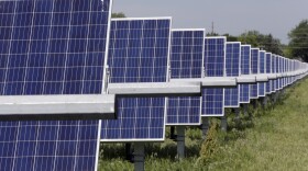 A ground mounted solar array. The rows of panels take up the left side of the image. The panels appear blue. Green grass grows under the rows. 