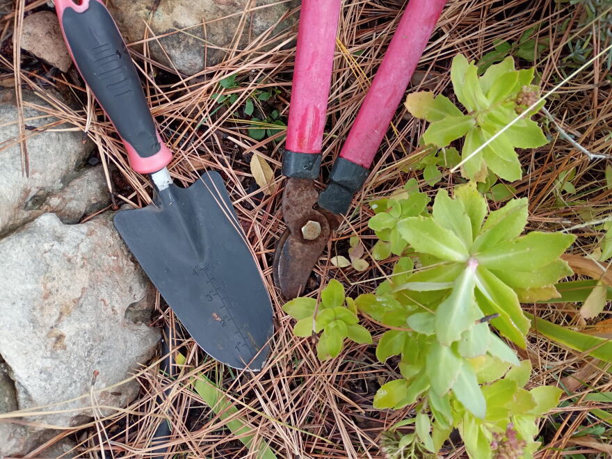 garden tools