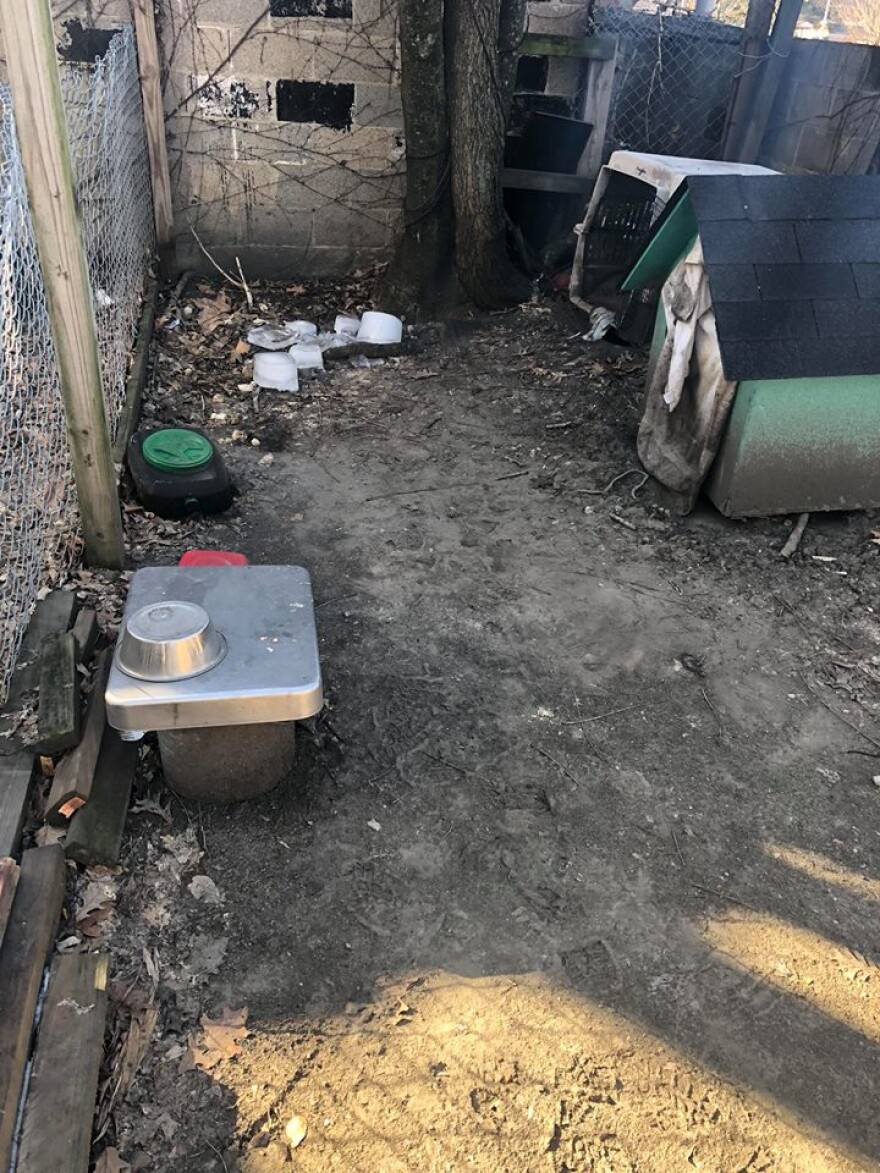 Volunteers with Friends of Indianapolis Dogs Outside were called to the 2400 block of E. 10th St. to check on a dog left outside.