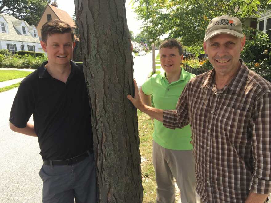 Lakewood councilmen Tristan Rader and Tom Bullock, and Arborist Chris Price [David C. Barnett / ideastream]