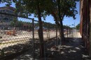 Santa Rosa Street through the shade trees at Markey Square on July 23, 2025