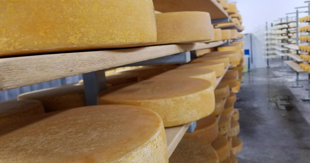 Leelanau raclette puts Michigan "on the world cheese map"