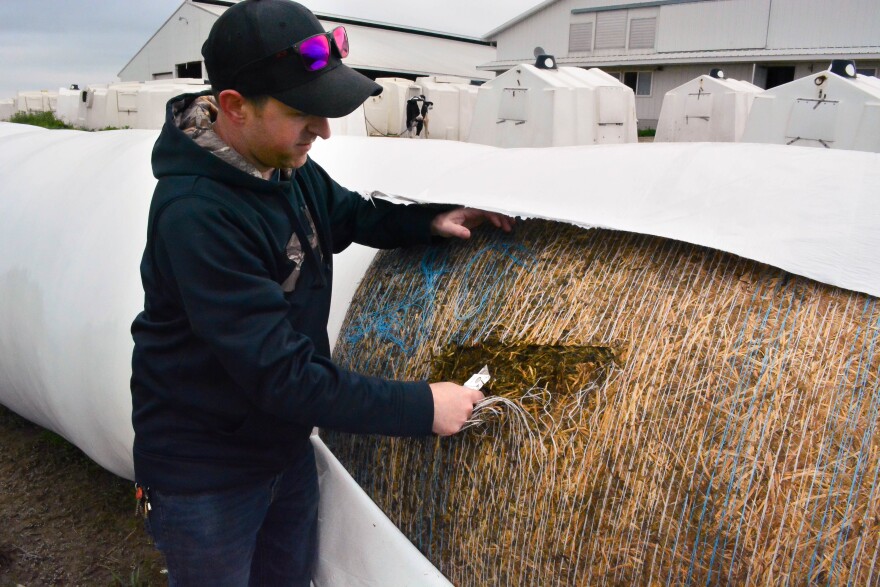 Adam Kocher cuts open a bale of fermented hay, which they grow to feed cows. [Olivia Miltner / WOSU]