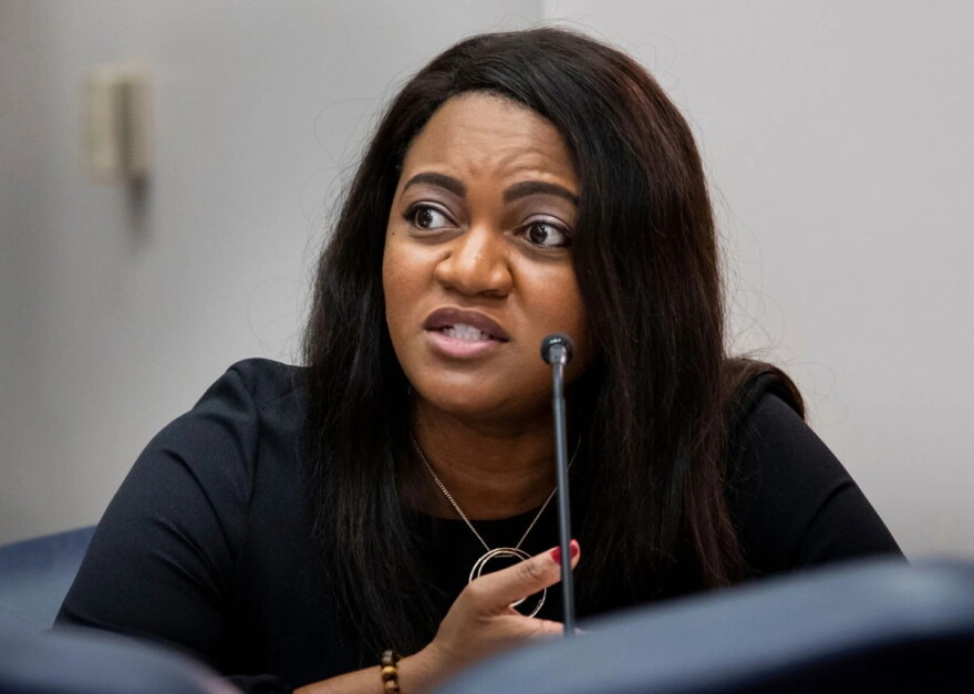 House Minority Leader Fentrice Driskell, D-Tampa, speaks at a legislative committee meeting