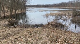A view from the Asylum Lake Preserve in March 2023