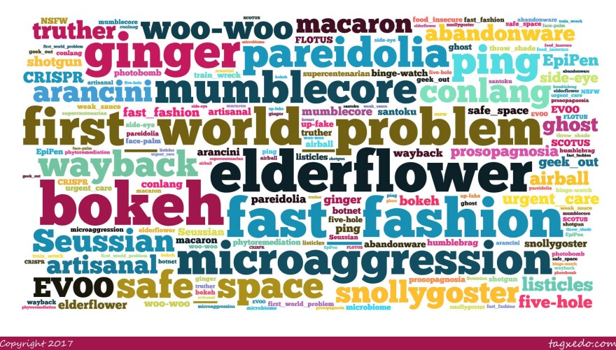 "Wayback" & "Woowoo" Added to Merriamster WVIK, Quad Cities NPR