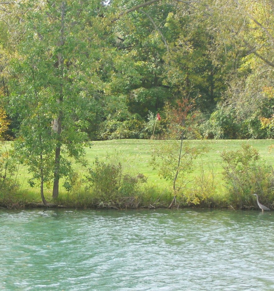 Trees and lake.jpg