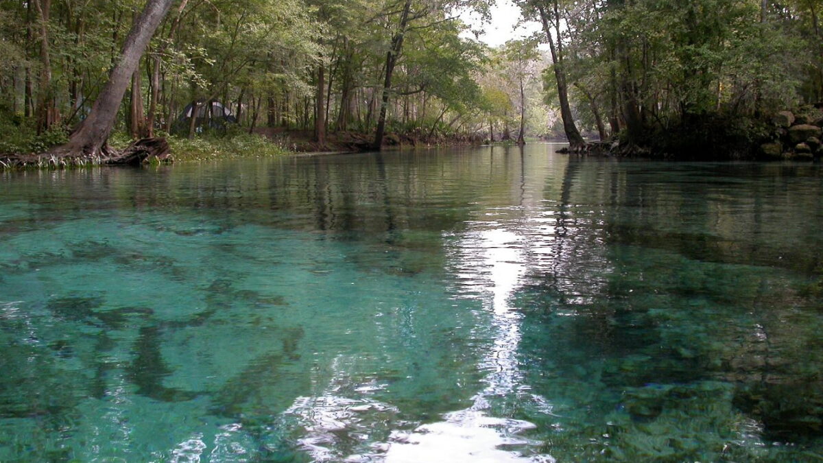 Permit to pump 1 million gallons from Ginnie Springs renewed by board - Vimarsana News