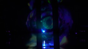 The Oracle during the Hulaween Music and Arts Festival at the Spirit of Suwannee Music Park in Live Oak, Florida over Halloween weekend in 2025.