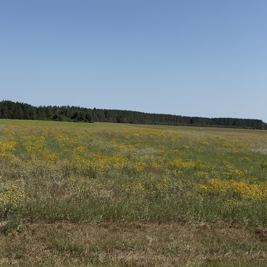 Pictured abouve: S1. The RARS also has another pollinator garden, N5, a 5-year-old pollinator plot.