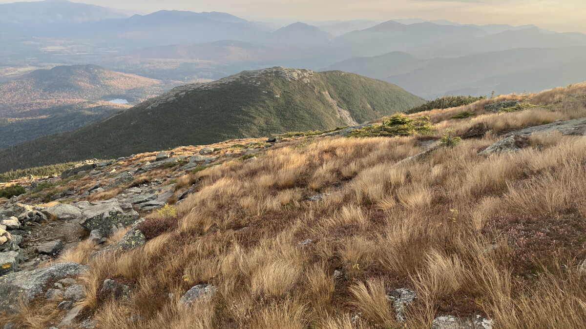Alpine tundra in the Northeast is 'greening', new study finds