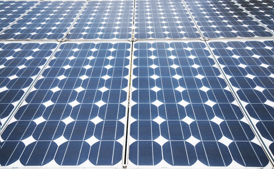 [Sergey Edentod / Shutterstock]