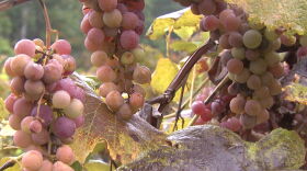 The new facility will be located on the winery’s main campus, just southeast of the tasting facility off Interstate 69.