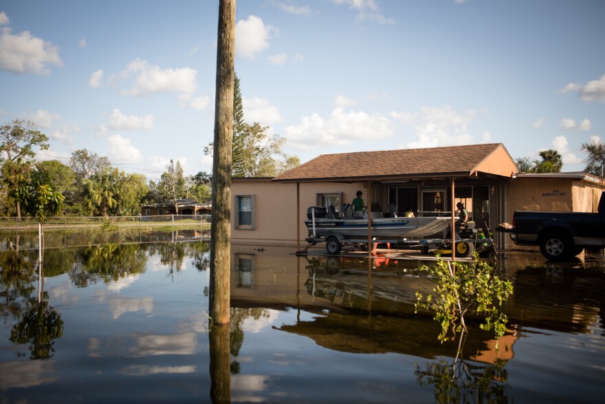 Flooding after Hurricane Irma sits on a property in Immokalee, Fla. Humid, warm environments, like Texas and Florida, can create a welcoming environment for mold and mildew, which are linked to allergies, asthma and other respiratory conditions.