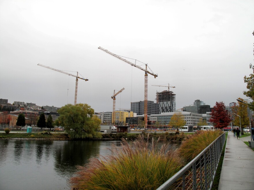 Cranes poke out of the ground in Seattle's South Lake Union neighborhood, the heart of Amazon's headquarters.