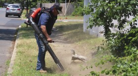 Antonio Espinoza, a supervisor with the Gras Lawn landscaping company, uses a gasoline-powered leaf blower to clean up around a housing development in Brick, N.J. on June 18, 2024.
