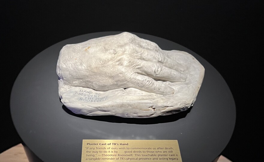 A plaster cast of Theodore Roosevelt's hand.